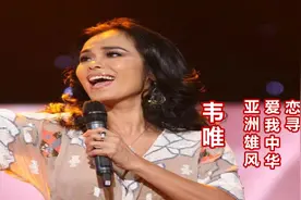 韦唯《相亲相爱》《爱的奉献》等歌曲视频封面