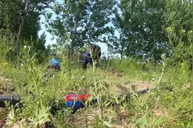 野外的樱桃园无网无电监控怎么装,老哥用太阳解决了问题视频封面