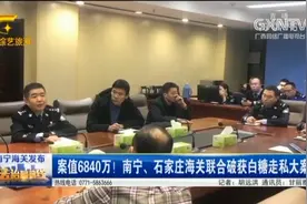 企业违法走私国外白糖，南宁与石家庄海关联合破获白糖走私大案视频封面