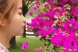 意外发现缅甸老板娘赏花，看到正脸傻了！居然有这样的女人？视频封面