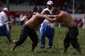 土耳其榄油摔跤比赛 - 男人之间硬核较量，稍有不慎可能走光视频封面