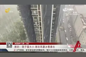 潍坊再遭冰雹袭击，大如鸽子蛋，树木庄稼遭袭击，现场画面曝光视频封面