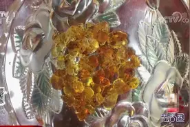 生活圈：桃胶能美容养颜、治疗疾病？专家揭秘真相，切勿盲目轻信