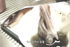 乌贼喷出的黑色墨汁，可以写字吗？老外测试，结果意想不到！