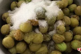 老曹进深山摘一篮野青梅，秘制成青梅干，做法简单比店里卖得好吃视频封面