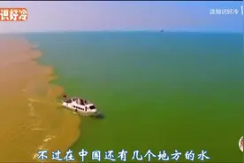 为什么渤海水和黄河水不相融？视频封面
