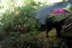 农村的生活 ，猛烈的太阳晒 今天为大家拍一个生活小知识