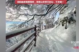 洛阳老君山，冬季不冬眠不封山!视频封面
