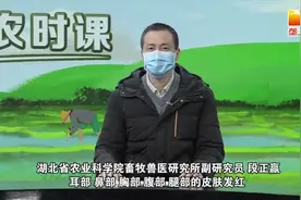 战疫情保春耕 | 荆楚农时课：非洲猪瘟的发病症状是怎样的？视频封面