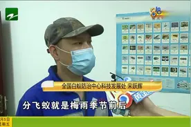 小区内出现白蚁怎么办？专家：繁殖概率不高 处置要找专业机构视频封面