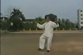 【资料】杨式太极拳94式（杨澄甫宗师四子杨振国先生演练）