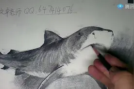 我的天呐，鲨鱼可以画的这么逼真，素描大佬都是这样吗？