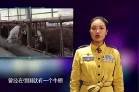 新闻大求真：德国一家牛棚起火，竟是因为牛的排便和放屁太多？视频封面