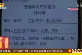 长沙推出货车临时通行证线上申办服务，半小时内就能通过审核视频封面