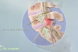 2分钟带你看人体的各个部位视频封面
