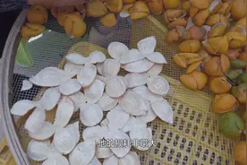 300万一斤的陈皮，许看不许碰，碰坏了赔不起视频封面