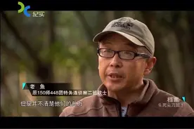 对越自卫反击战：生死尖刀班，归国路上生死抉择视频封面