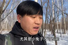 东北山区，野猪冬天全靠这种树生存，百姓靠这种树也能赚不少钱视频封面