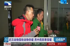 武汉动物园给动物供暖，用中药防寒保暖