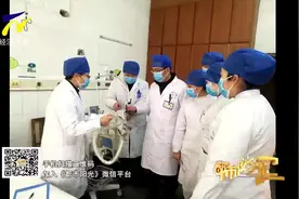 宋薇：我在这里守护你 温暖你视频封面