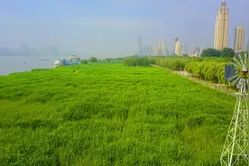 航拍中国最美的江滩，汉口江滩，这是汉口市民最爱去的休闲之地！视频封面