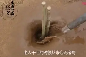 我国这个沙漠，83岁的他带领日本人种了300万棵树视频封面