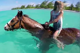 马居然会游泳？骑着马海里走，爽翻了！视频封面