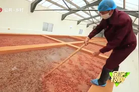 人间美味！豆瓣酱是发酵的产物，需要六个月才能成熟视频封面