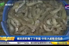 被皮皮虾刺了下手指，中年大叔险些丧命？揭秘背后隐情