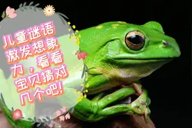 非常适合3到6岁的儿童谜语，图文并茂益智有趣，和宝宝一起猜猜吧视频封面