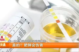 又多了个减肥的理由！胖竟会引起这么多疾病，快听专家的具体分析