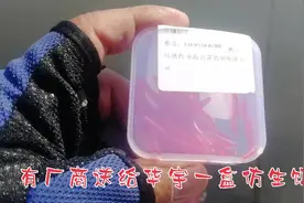 厂商拿仿生蚯蚓让华宇测试一下在东北钓鱼怎么样，看测试结果如何视频封面