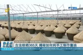 揭秘如何纯手工制作酱油，古法晾晒365天自然发酵，无色素添加剂视频封面