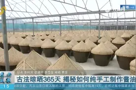 揭秘如何纯手工制作酱油，古法晾晒365天自然发酵，无色素添加剂视频封面