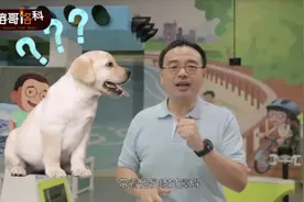 榕哥烙科 _ 红绿色盲的狗狗怎么分辨红绿灯，并带盲人过马路呢？视频封面