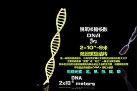 5分钟带你从微观到宏观看尽全宇宙_超震撼视频封面