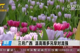 广西三月份降雨频繁，多地累计雨量破纪录，提前29日进入汛期视频封面