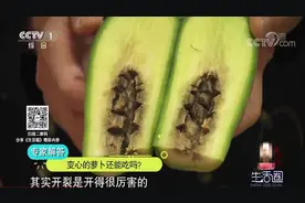 生活圈：萝卜外表正常，里面却是“黑心”，这还能吃吗？专家解答