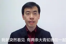 故事：小孩看见两条青蛇紧紧缠在一起，连忙找腰带挂树上视频封面