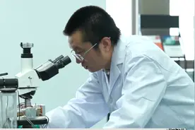 广东青年五四奖章获得者马星：33岁的材料科学带头人视频封面