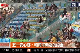 五一安心游！到成都海昌极地海洋公园和海洋动物来场约会视频封面