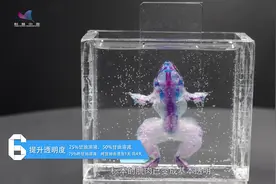 不动刀，如何获得一只青蛙的完整骨骼视频封面