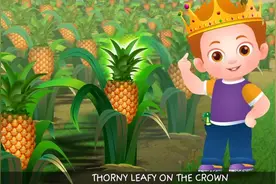 英文儿歌：菠萝歌