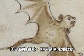 病毒之王蝙蝠，却百毒不侵是如何形成的视频封面