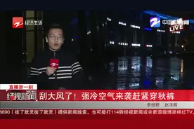 刮大风了！杭州强冷空气来袭赶紧穿秋裤