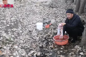 猪肉这么贵，吃便宜又健康的这种肉吧，不光瘦身还延年益寿视频封面