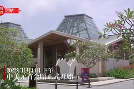 独家视频丨中美元首会晤正式开始图片