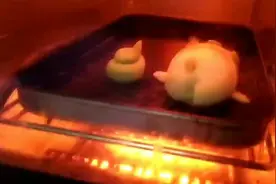 主人自制小仓鼠磨牙零食，形状奇特深受仓鼠喜欢，真逗视频封面