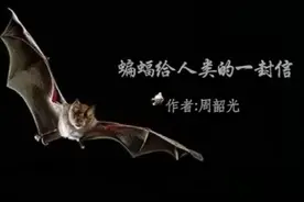 蝙蝠给人类的一封信，请勿食用离野生动物！视频封面