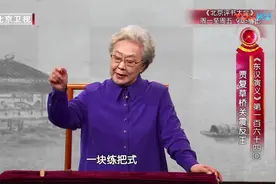 《东汉演义》 贾复草桥关震反王（一百六十四）视频封面
